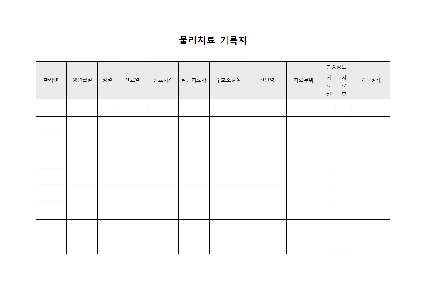 물리치료 기록지